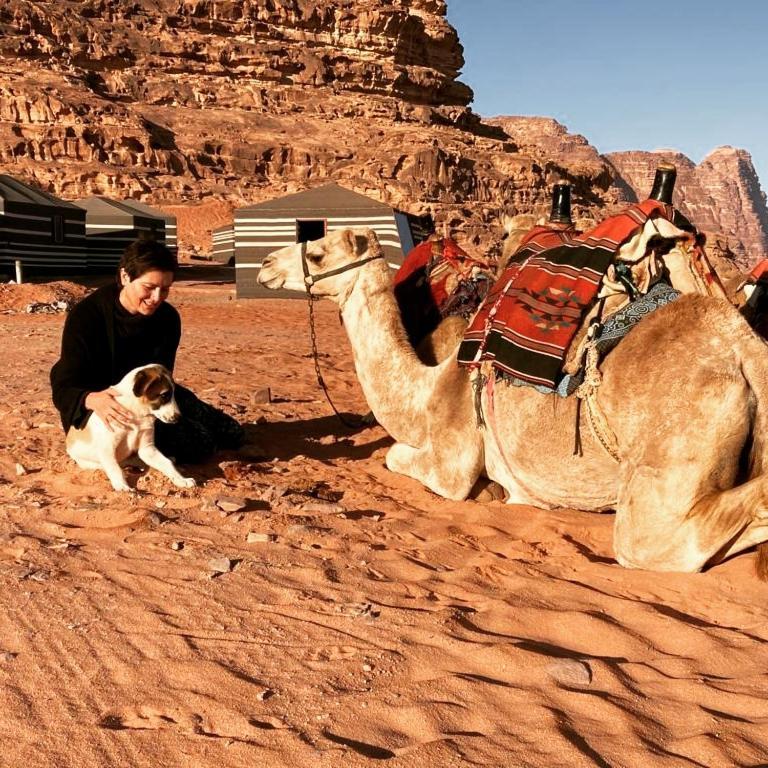 Desert Magic Camp & Resort Wadi Rum Exteriör bild